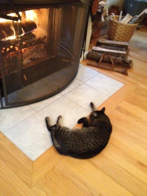 Andrew Watson's album, Timeline Photos