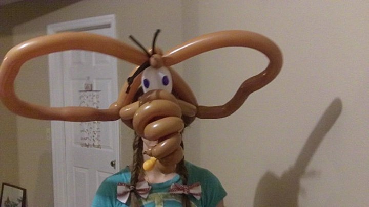 Scott Barhold's album, Balloon Menagerie