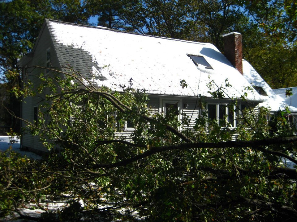 LORENE BEACH's album, Halloween Snow 2011