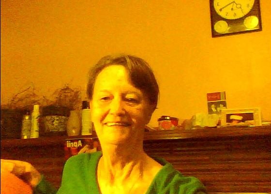 Lynn Bushey's album, Profile Pictures