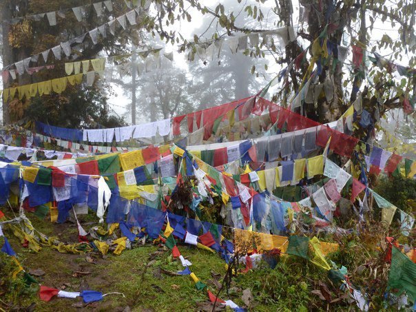 Ella Solomons' album, Bhutan