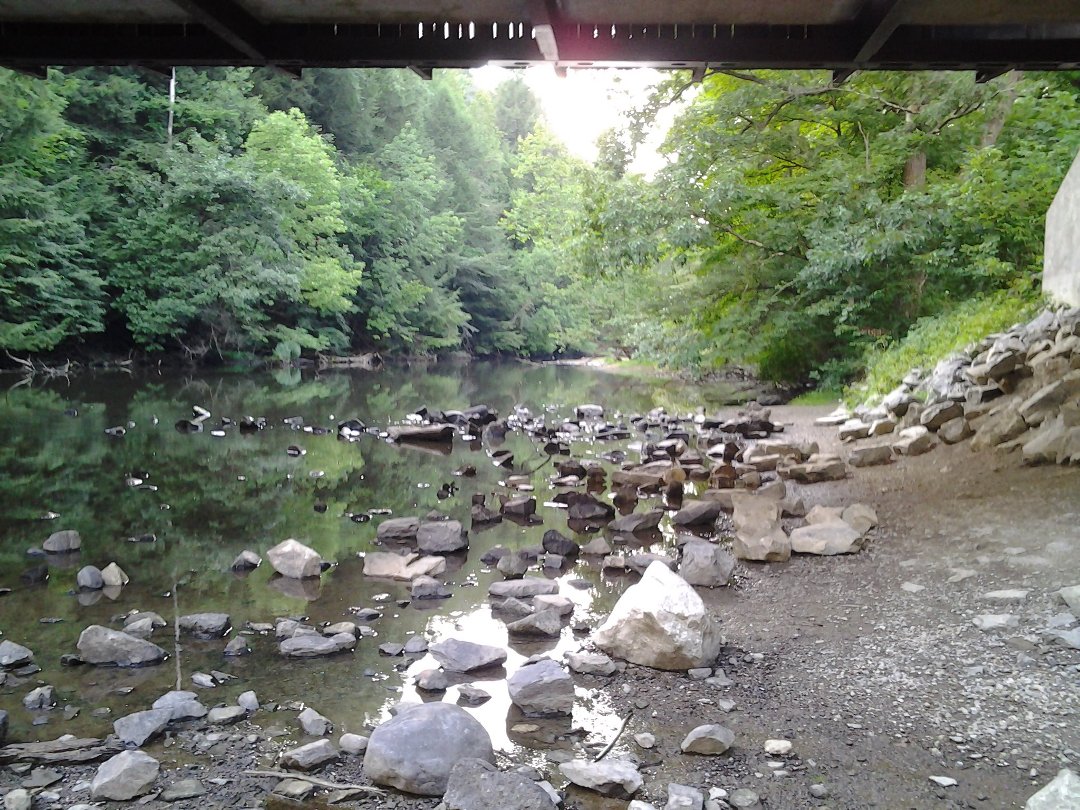 Devani Jackson's album, Cover Photos