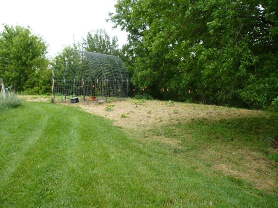 Vern Barry's album, 2011 Garden