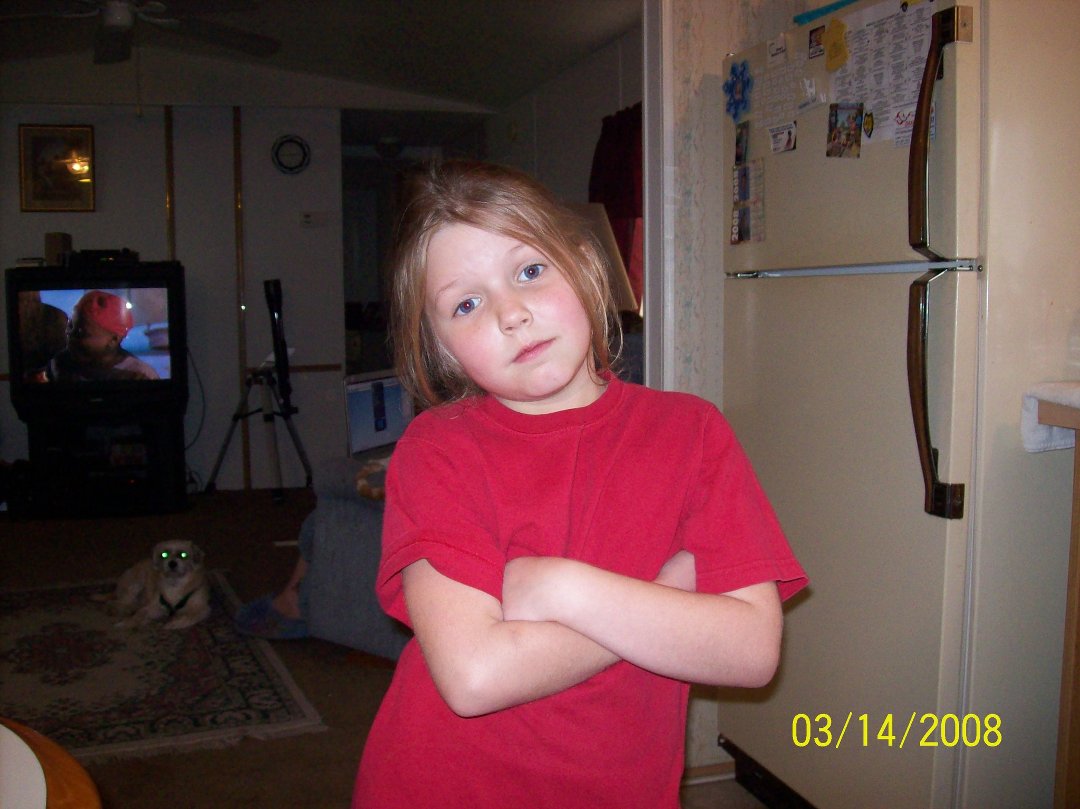 Darilyn Paulsen's album, Profile Pictures