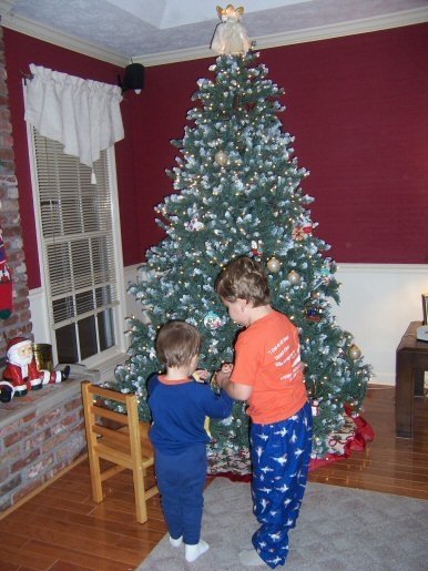 Amy Lewark's album, Christmas 2008