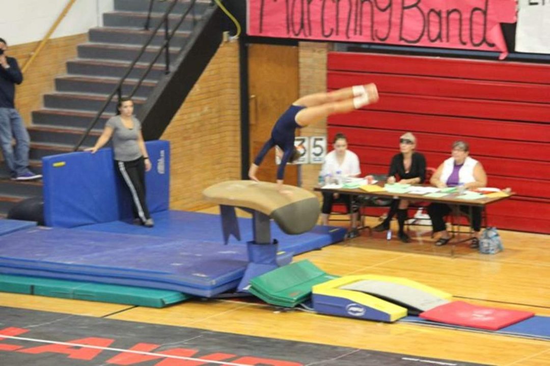 Mike Mann's album, State Gymnastics