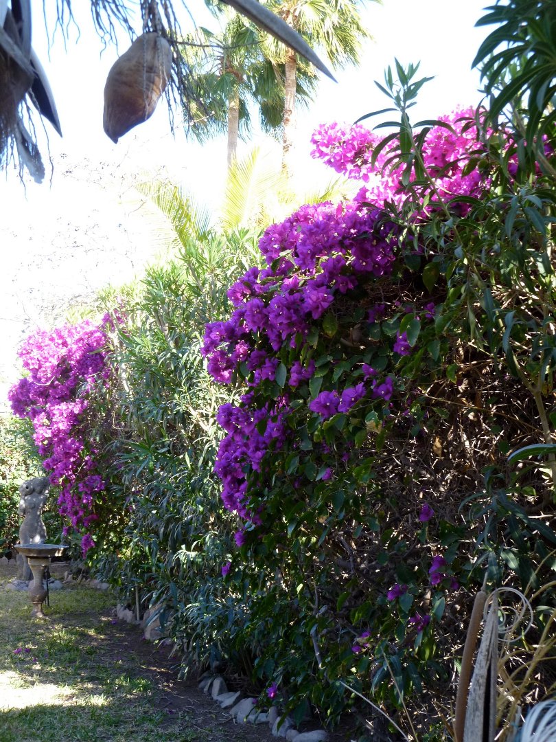 Roy Place's album, Timeline Photos