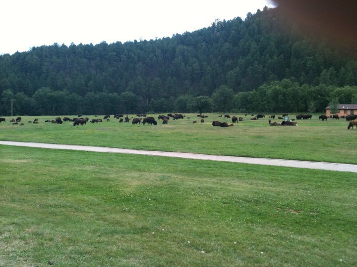 john haney's album, Sturgis 10