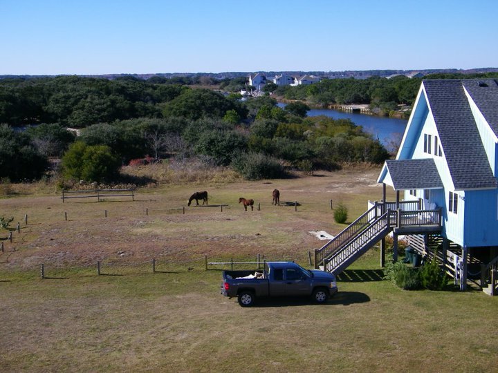 Lori Shearon's album, November 28, 2010