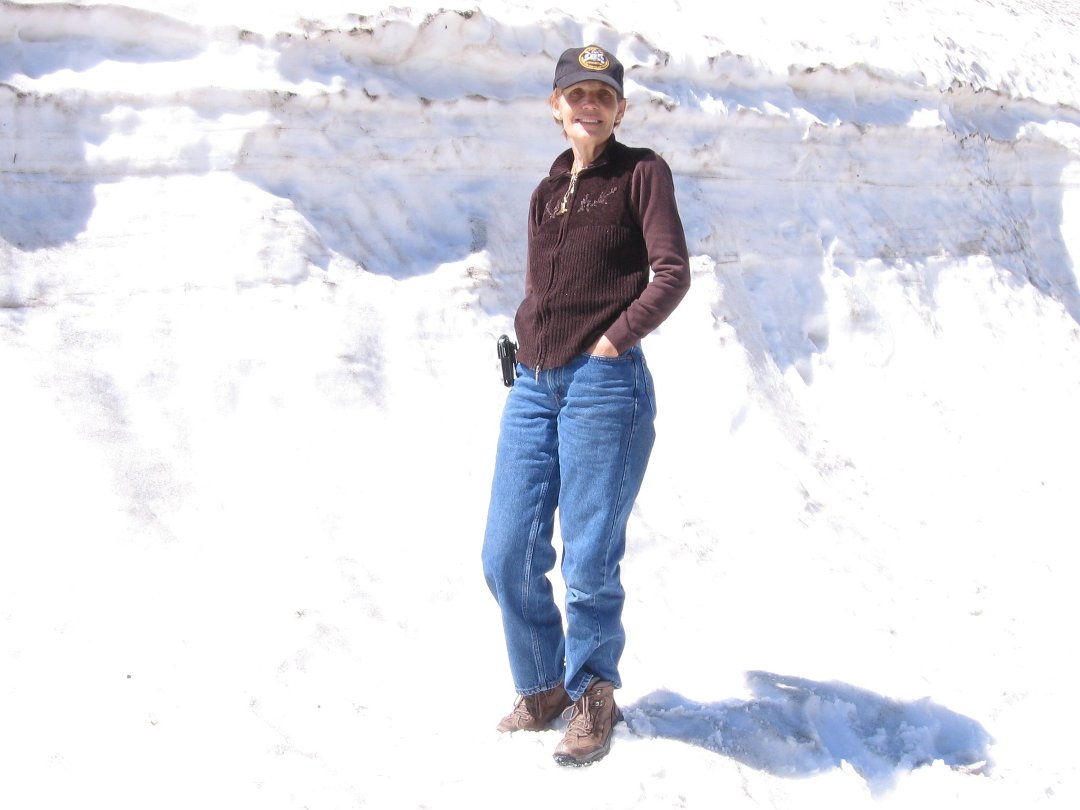 Brenda Purcell's album, Profile Pictures