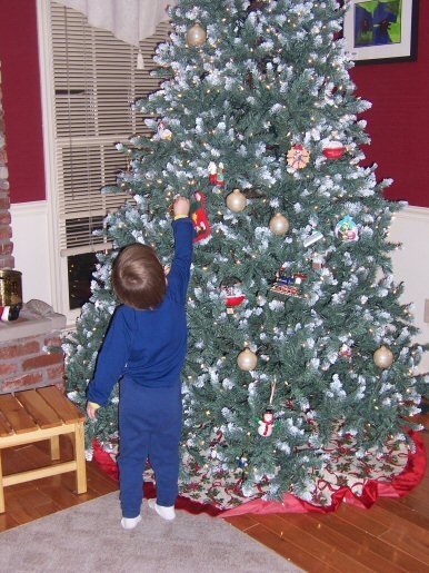 Amy Lewark's album, Christmas 2008
