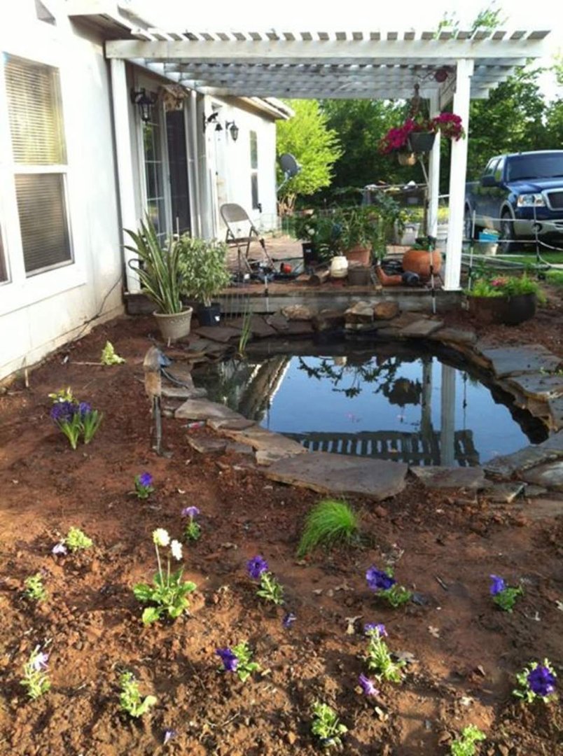 Carol Garren's album, Mobile Uploads