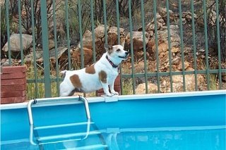 Randy Basham's album, Home in Alice Springs