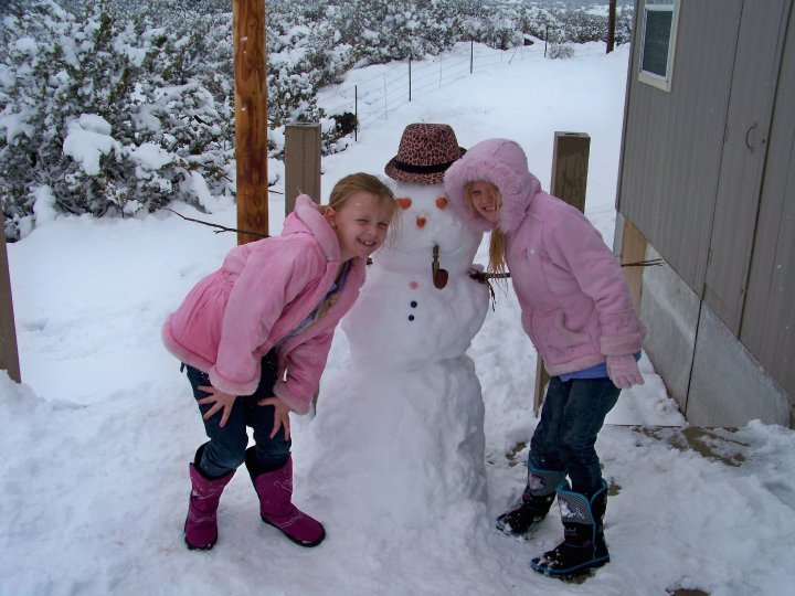 Rex Ickes' album, Painted Desert