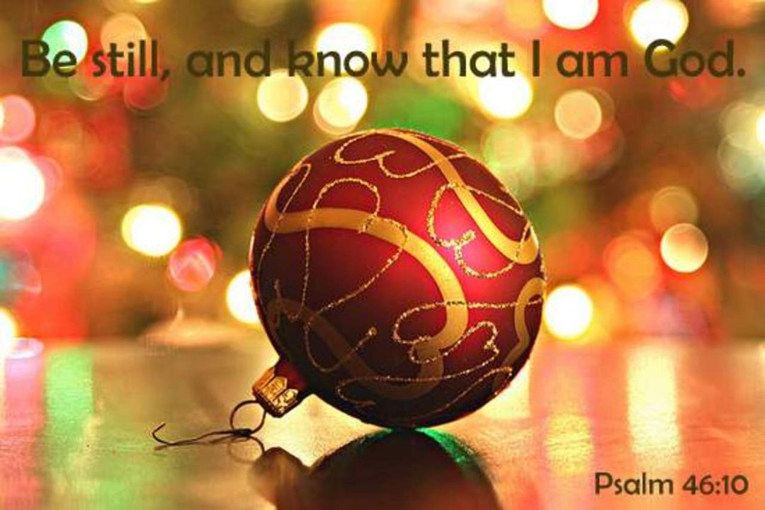 Carol Leek's album, Cover Photos