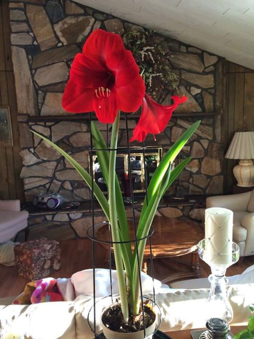 Wyan Grant's album, Timeline Photos