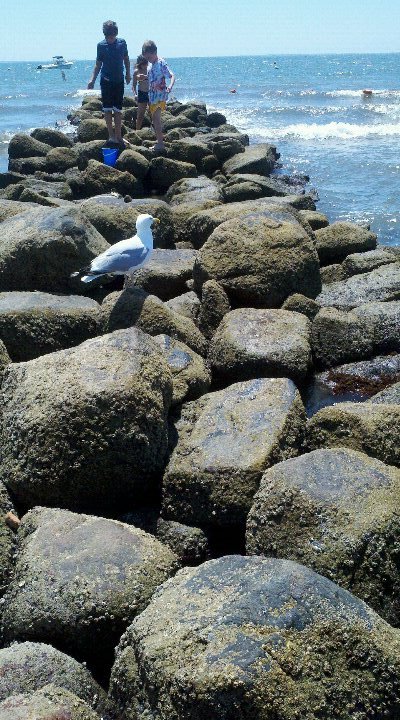 Maureen Gamlin's album, Mobile Uploads