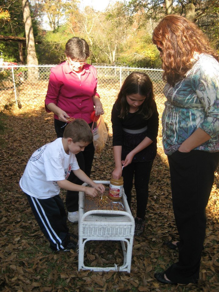 Irene Bohn's album, Thanksgiving 2012