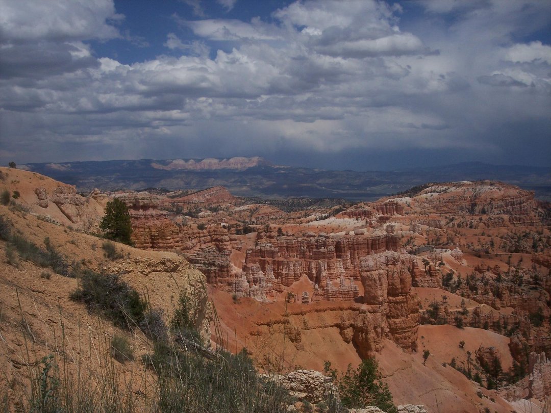 Catherine Ligon's album, Cover Photos