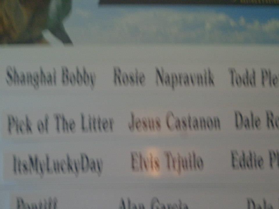Robin Napravnik's album, Gulfsteam Park  Miami Florida