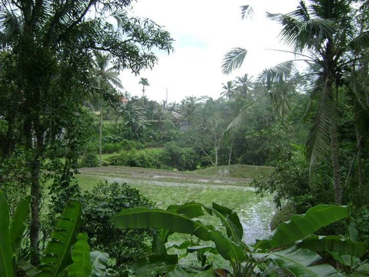 Eric Dougherty's album, bali
