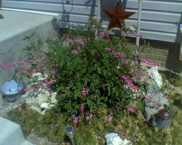 Sherri Marsh's album, Timeline Photos