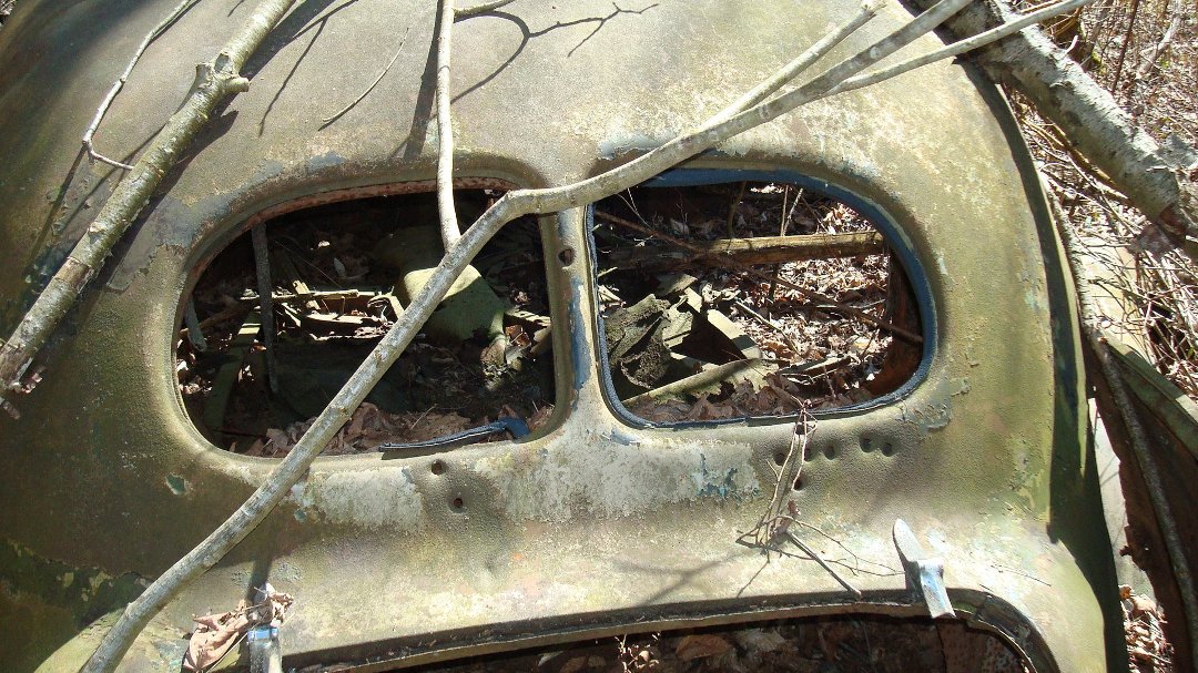 Chris Cunningham's album, 'Rustic' Scenes on a Recent Hike