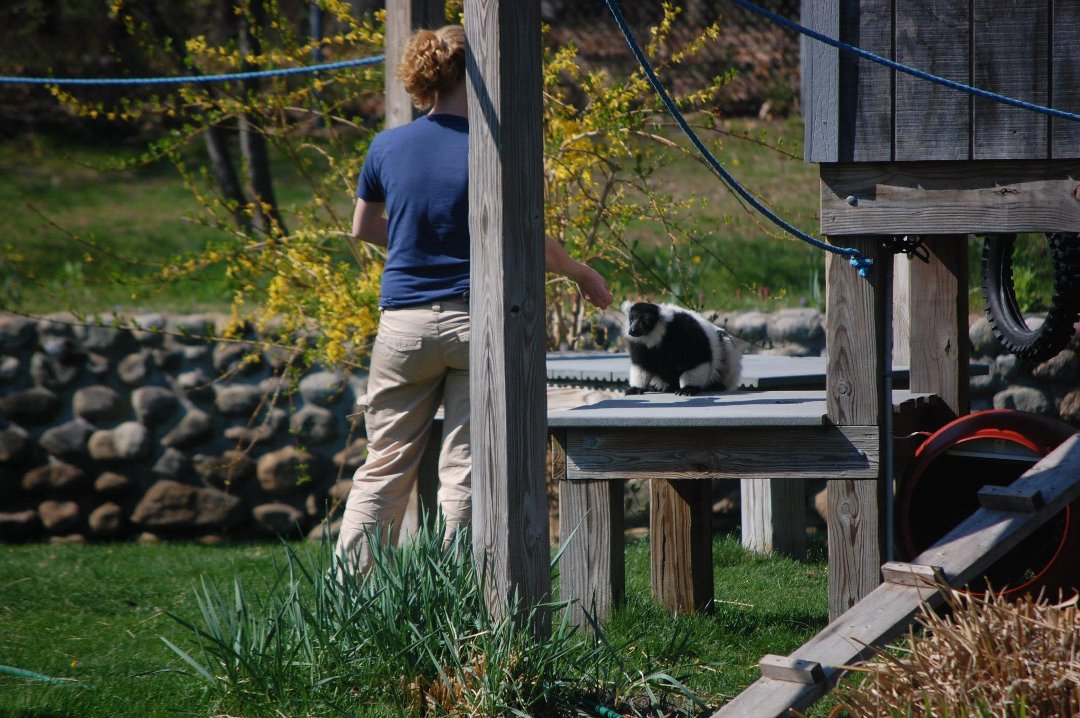 Chris Dix's album, Capron Park Zoo