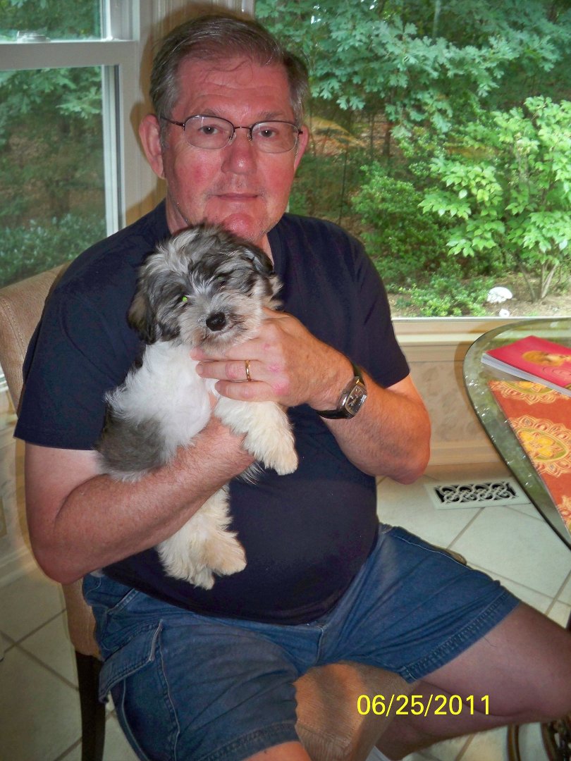 Paul Herer's album, Profile Pictures