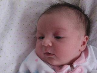 Michael Monaghan's album, Laila Marie