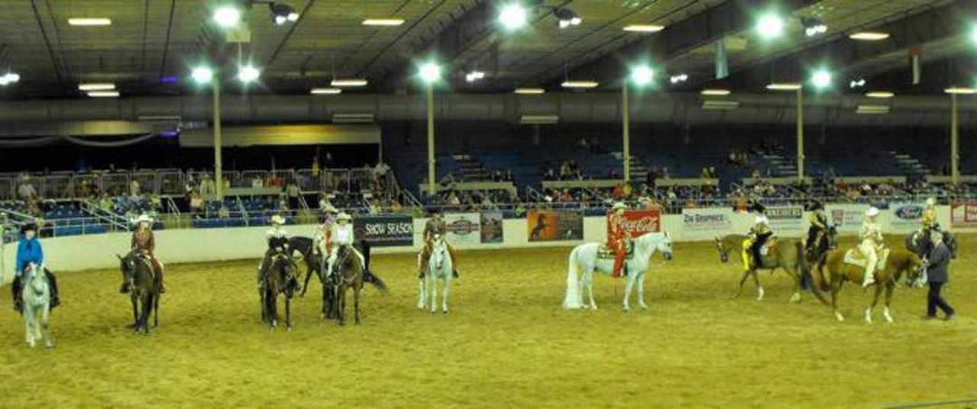 Janice Andersen's album, Arabian Horse Show 2013