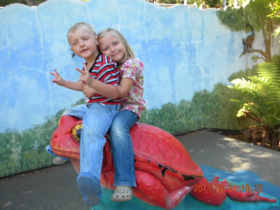 Sharon Ketzenberg's album, Cadence's summer fun