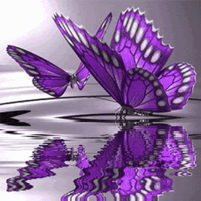 Sabrina Adams' album, Cover Photos