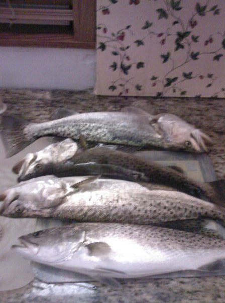 Ray Brackin's album, Fishin 2010