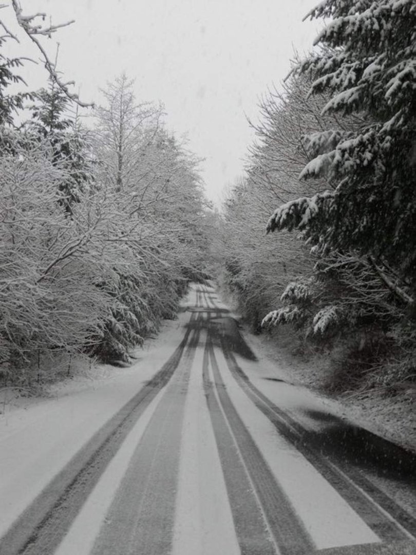 Jeffrey Eustis' album, Snow day!