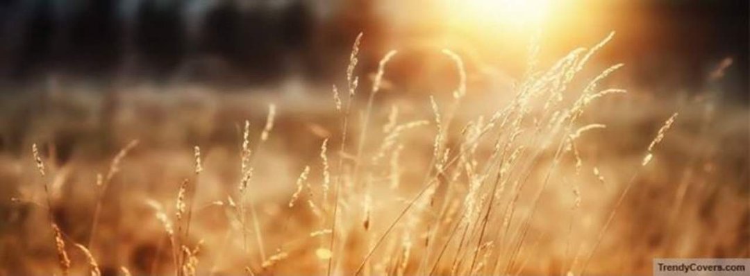 Ellen Andersen's album, Cover Photos