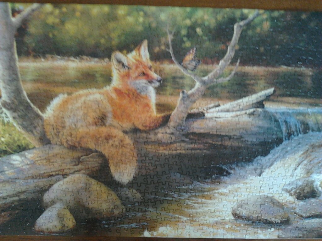 Beverly Drewry-Servati's album, Mobile Uploads