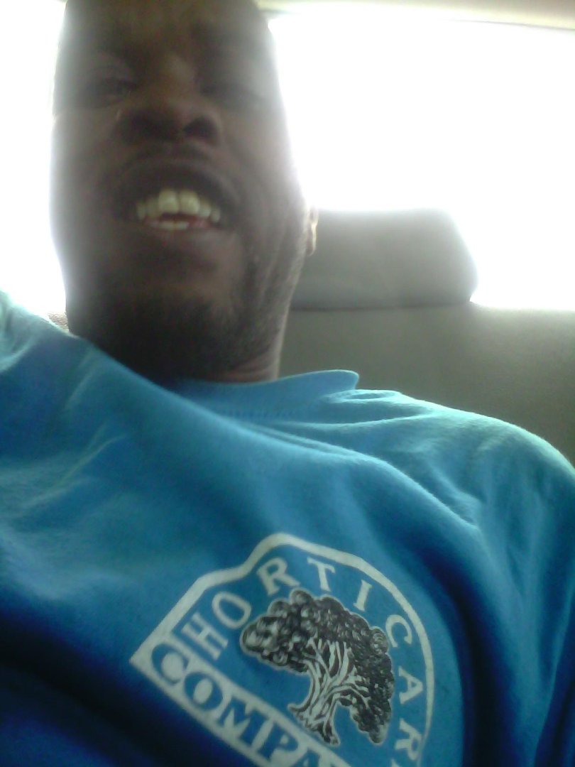 nathaniel moore's album, Mobile Uploads