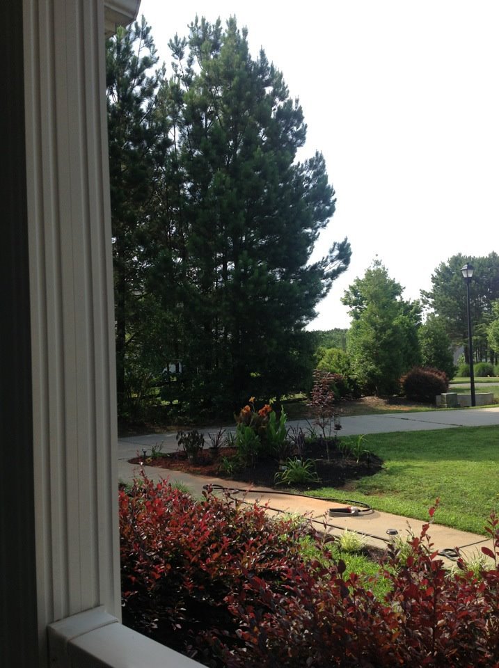 Kevin Scott's album, Mobile Uploads