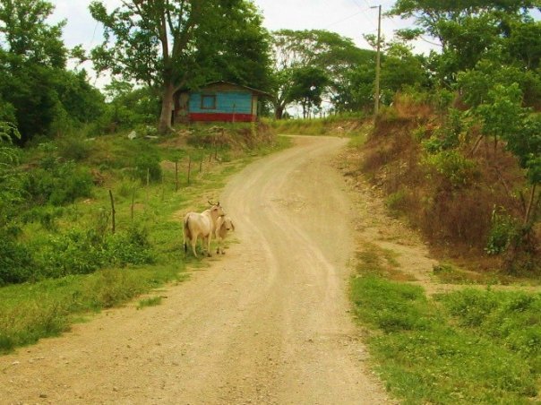 Kevin Walker's album, Costa Rica