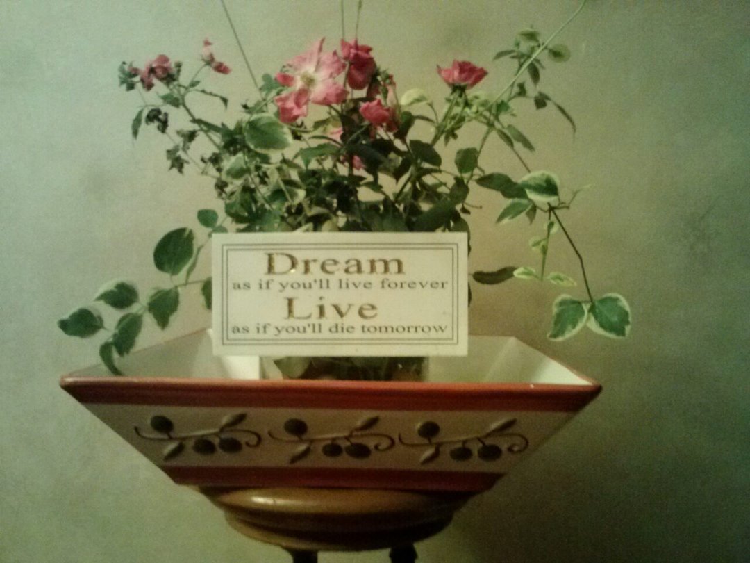 Dave Fenzel's album, Cover Photos