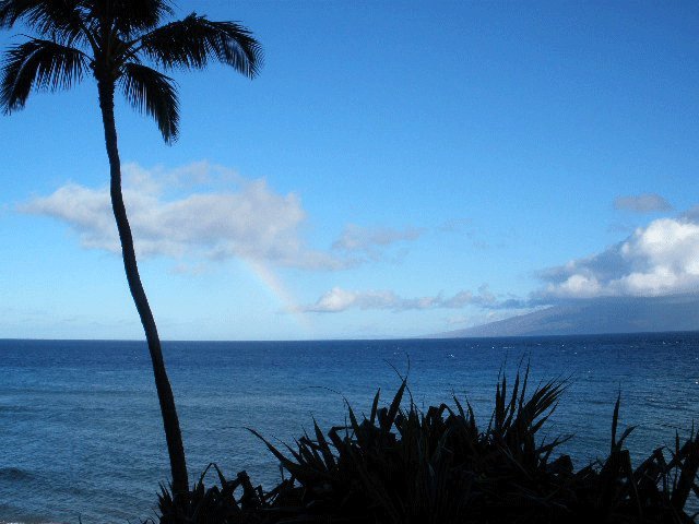 Philip Brown's album, Maui 2010