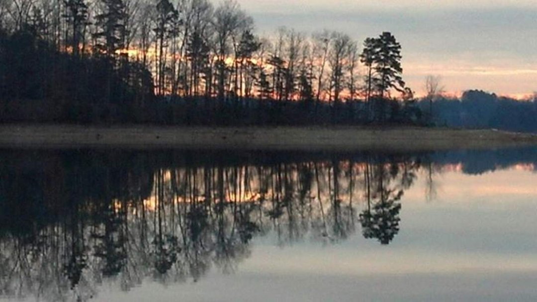 Brenda Young's album, Mobile Uploads
