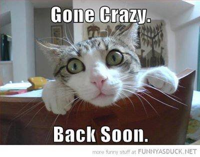 Loretta Cluf's album, Timeline Photos