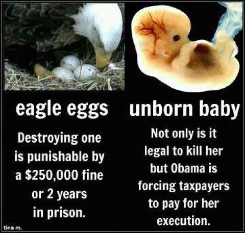 Steve Prather's album, Timeline Photos