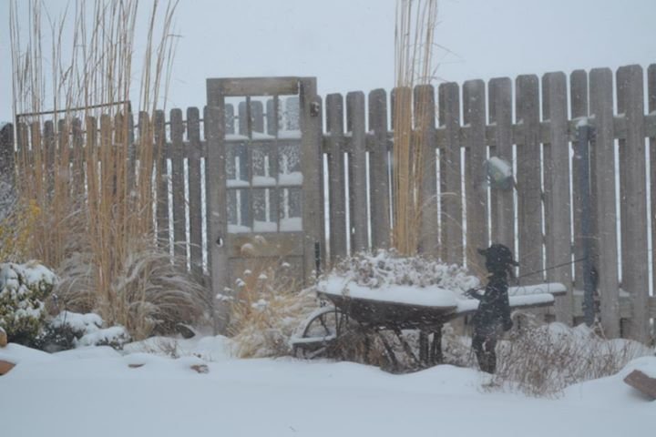 Chris Carroll's album, New Years Eve Snow 2012