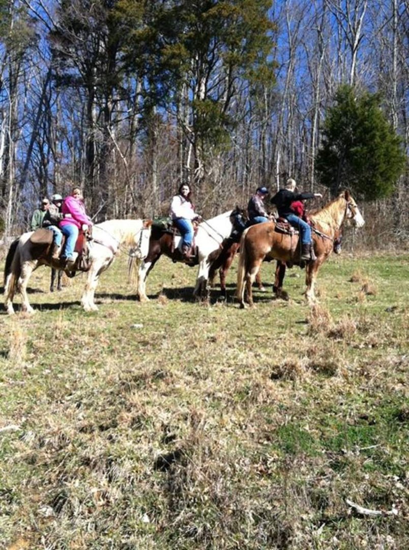Tina Shedd's album, Mobile Uploads