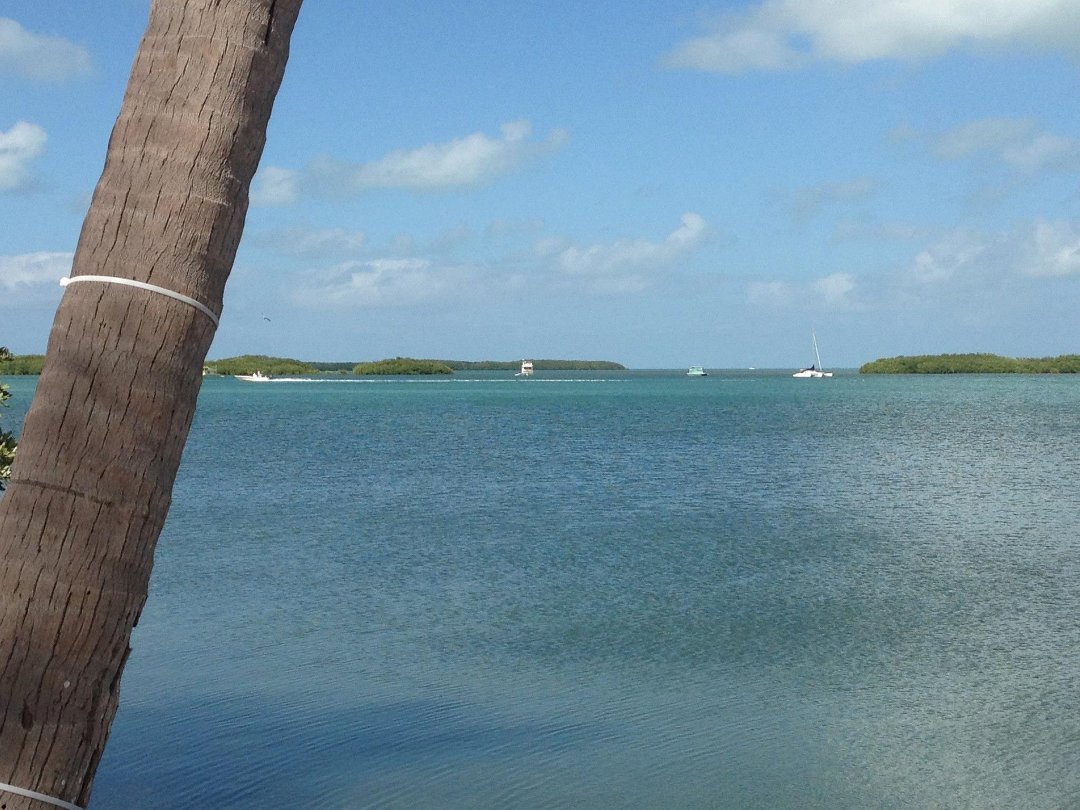 David Krantz's album, Key West 2013