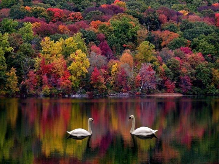 Regina Bragg's album, Timeline Photos