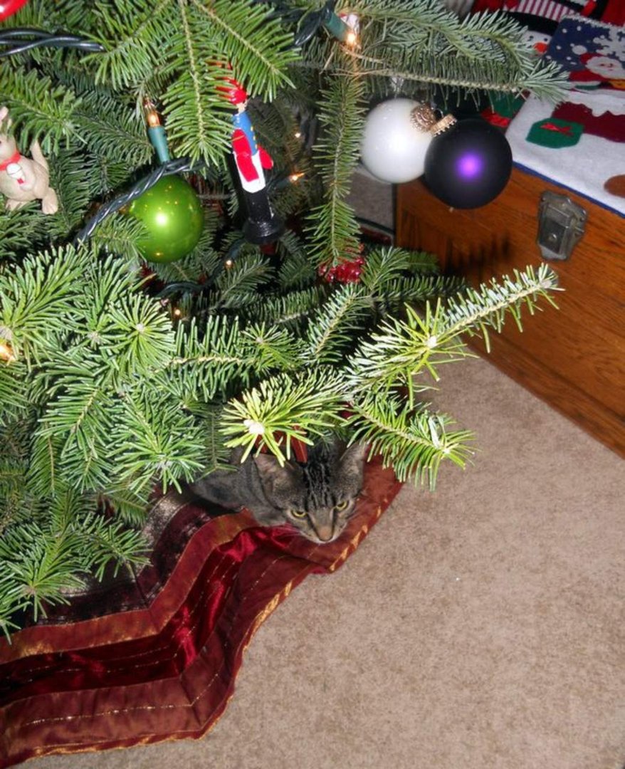 Cynthia Rawlins' album, Christmas 2010
